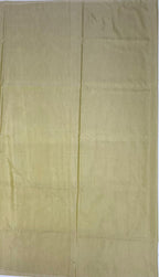 VSAS1035 - pastel green color body ,pallu , blouse.