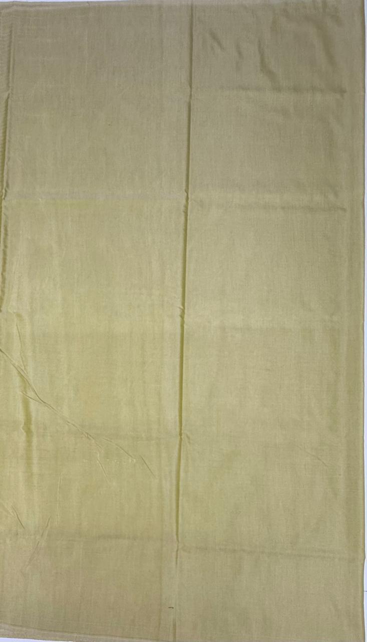 VSAS1035 - pastel green color body ,pallu , blouse.