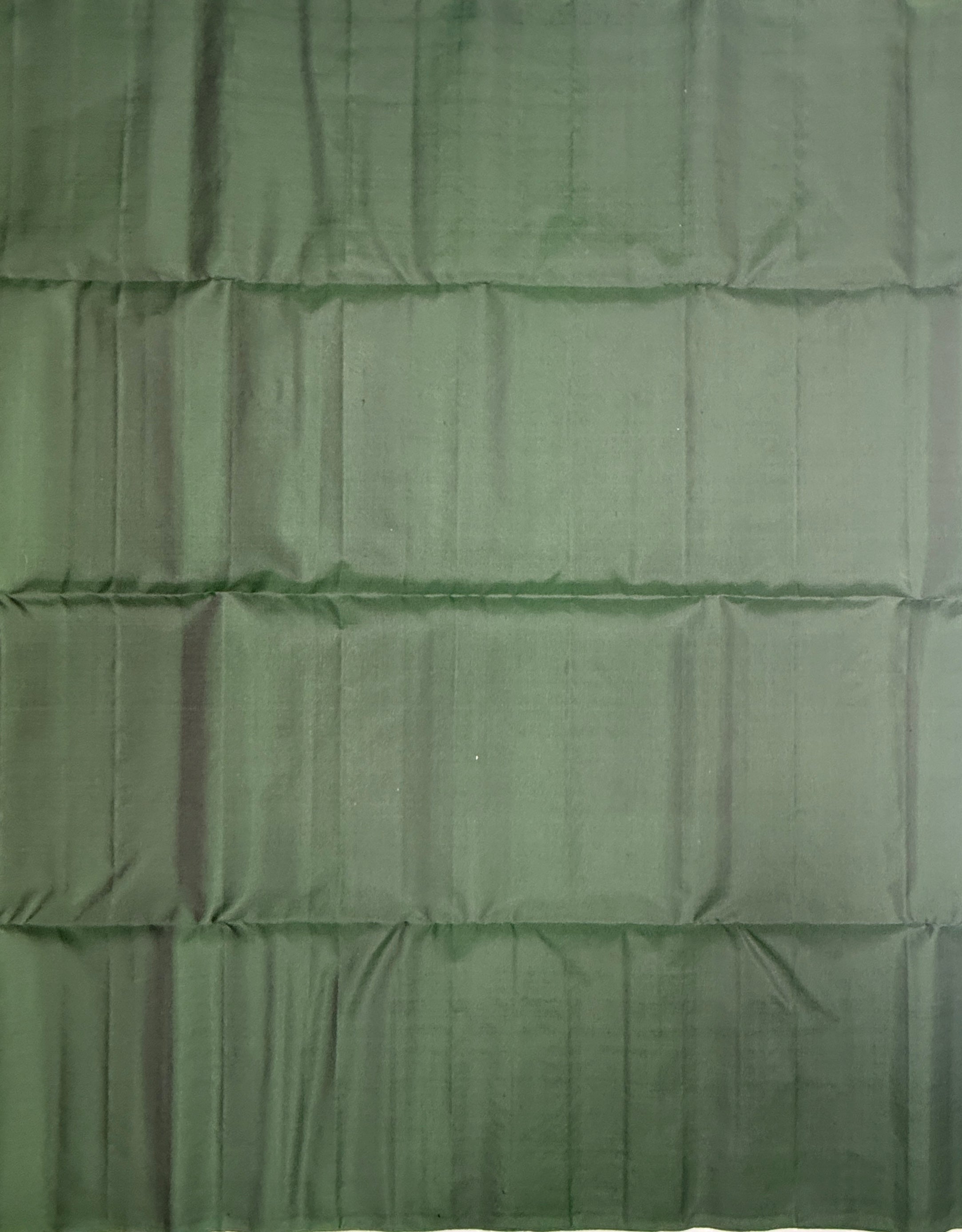 VSBP109 - dark green color body , color pallu,blouse - Pure silk saree
