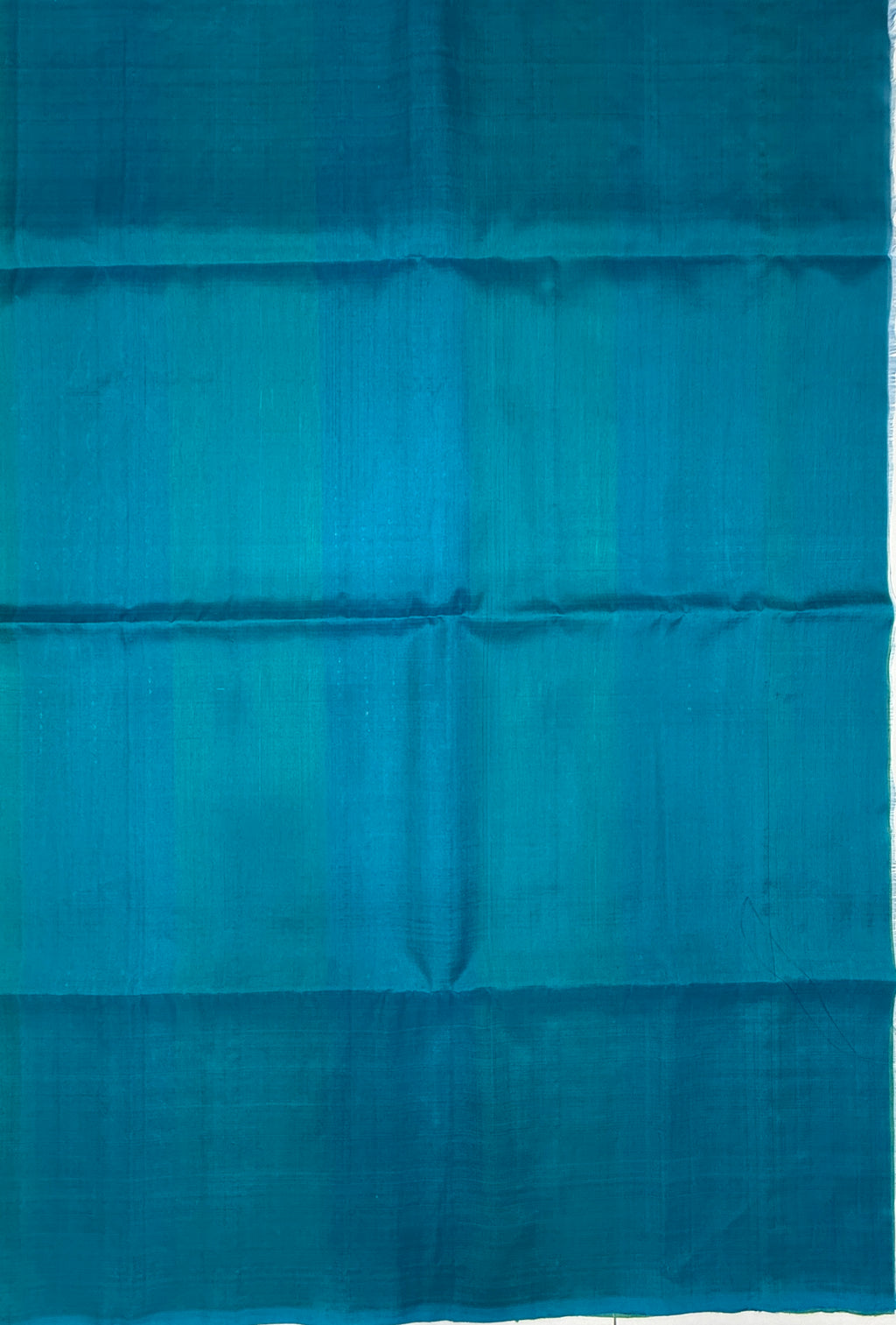 VSD171 - green with blue color body , blue color pallu,blouse - Pure silk saree