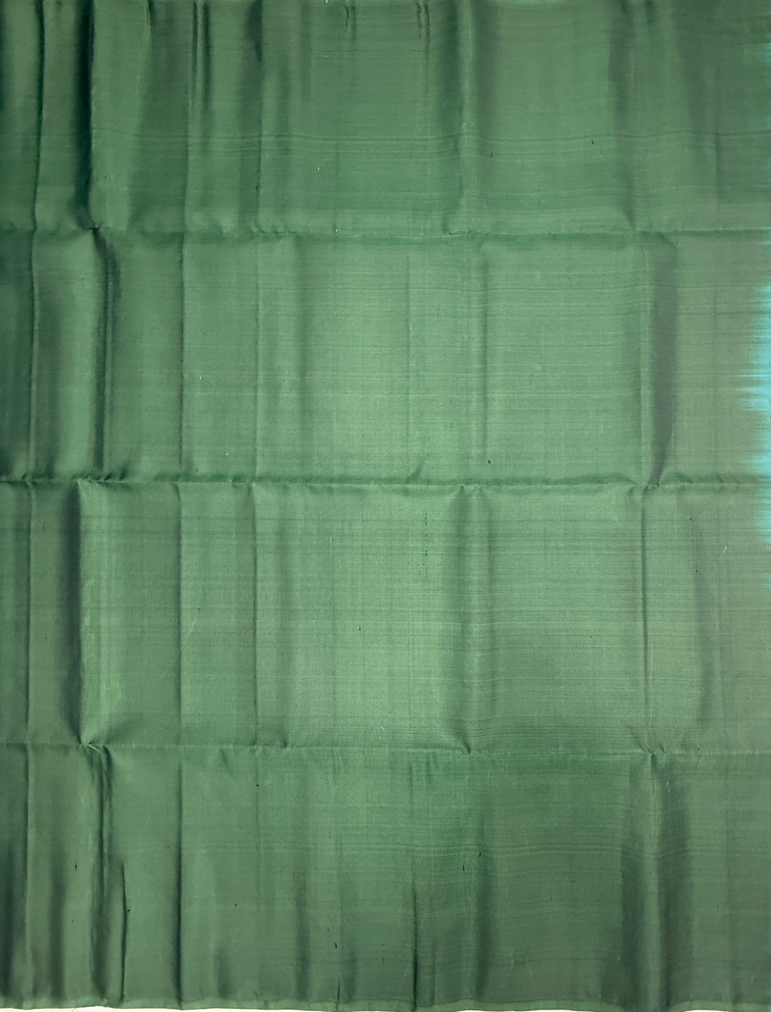 VST298 - pastel green color body , color pallu , blouse - Pure silk saree