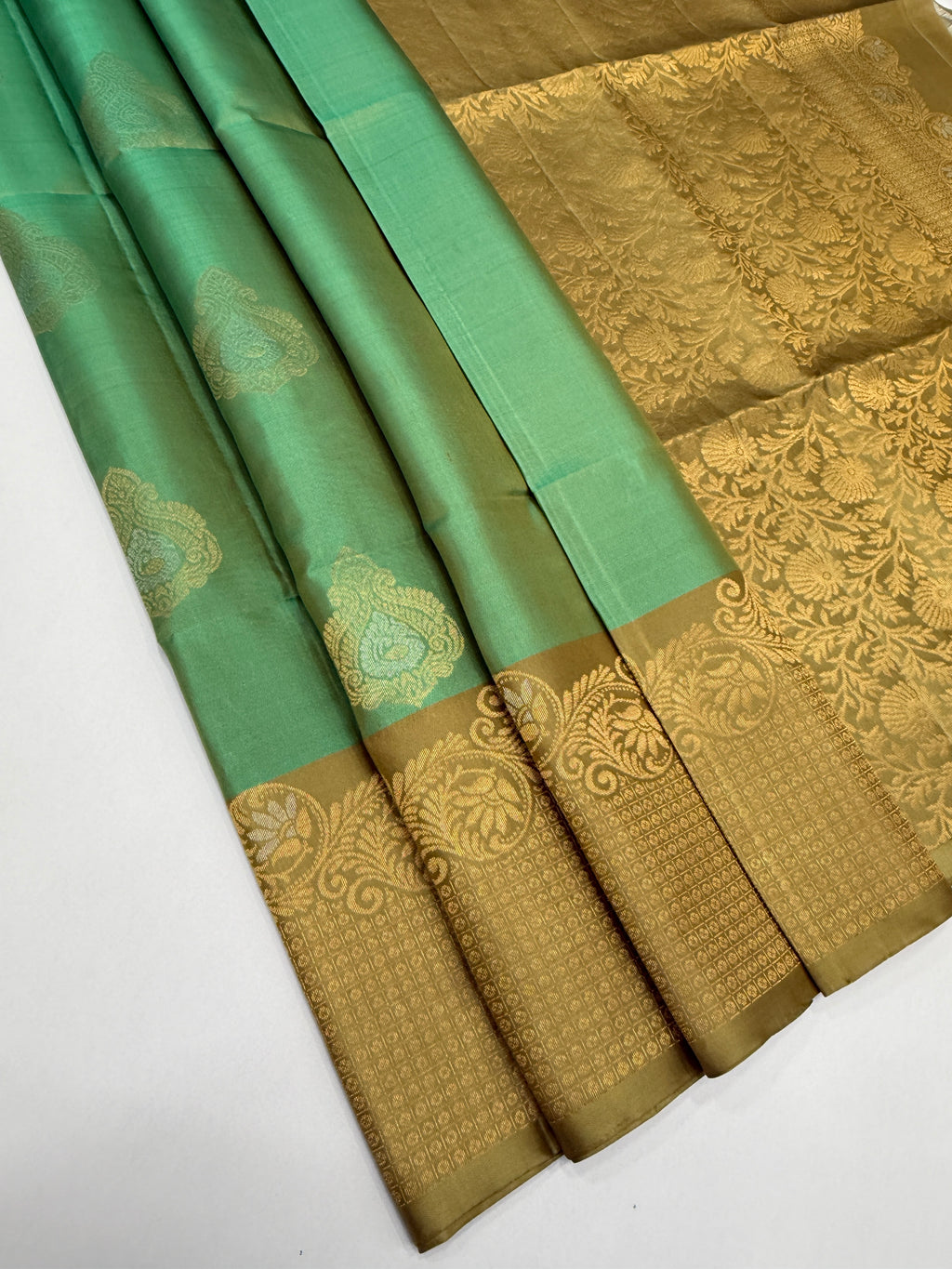 VST335 - pastel green color body , beige color pallu , blouse - Pure silk saree
