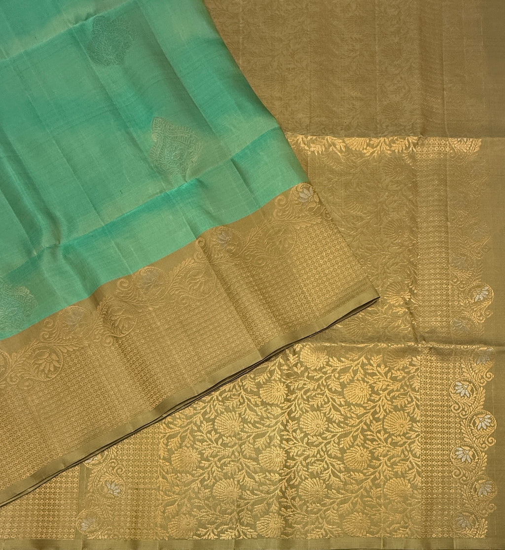 VST335 - pastel green color body , beige color pallu , blouse - Pure silk saree