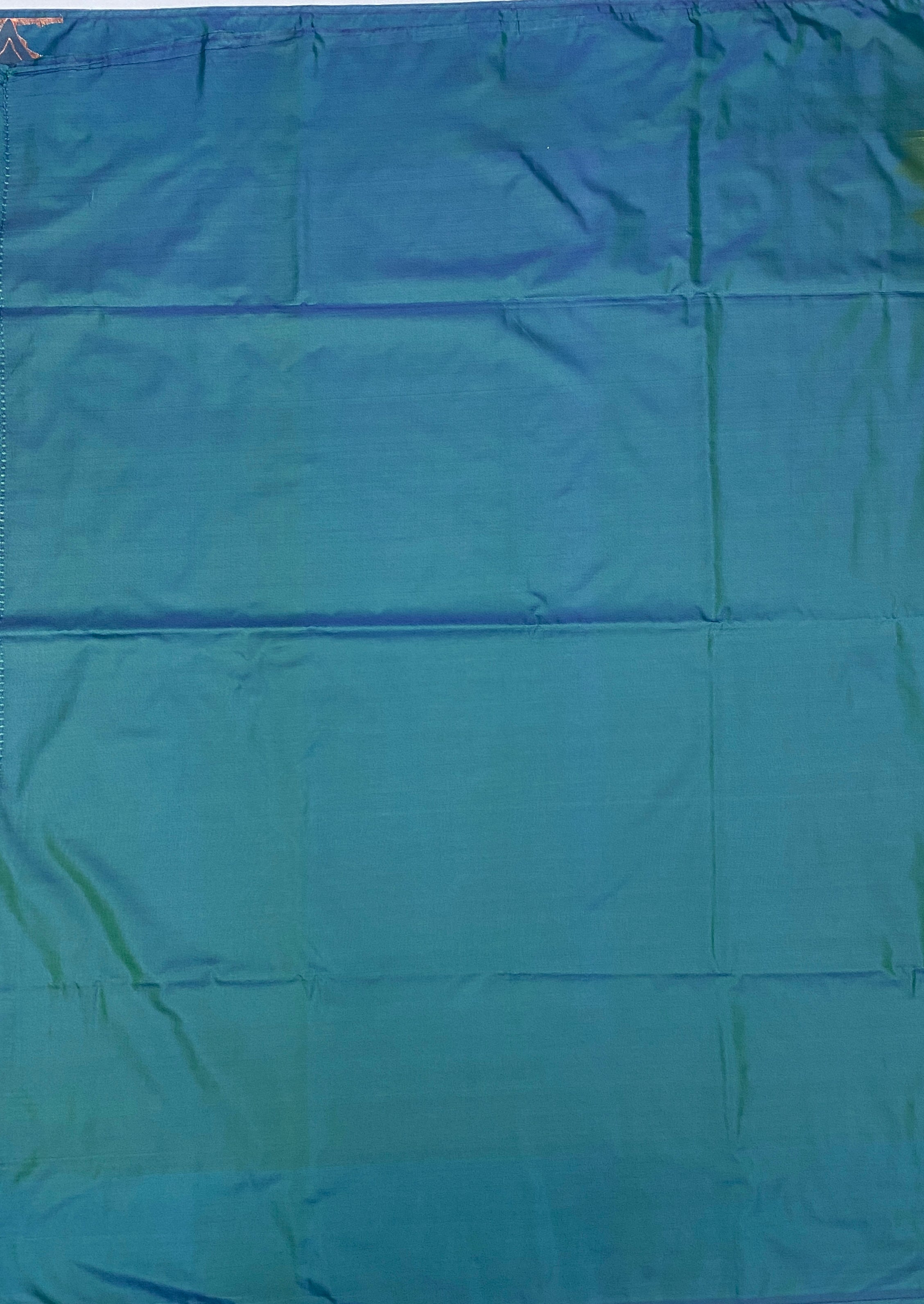 VSAS644 - leaf green color body , peacock blue color pallu , blouse.