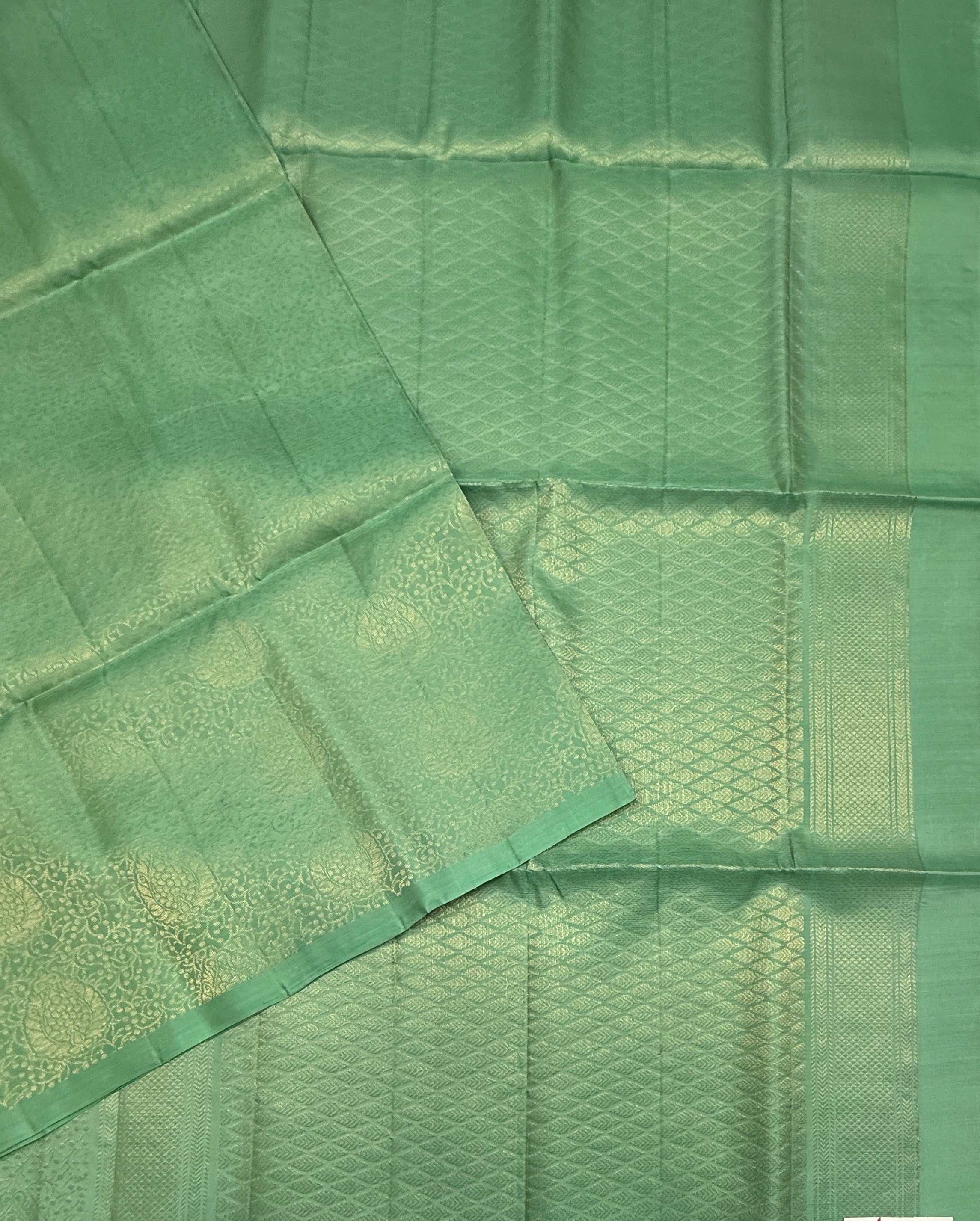 VSM65 - pastel green color body, pallu , blouse&nbsp;