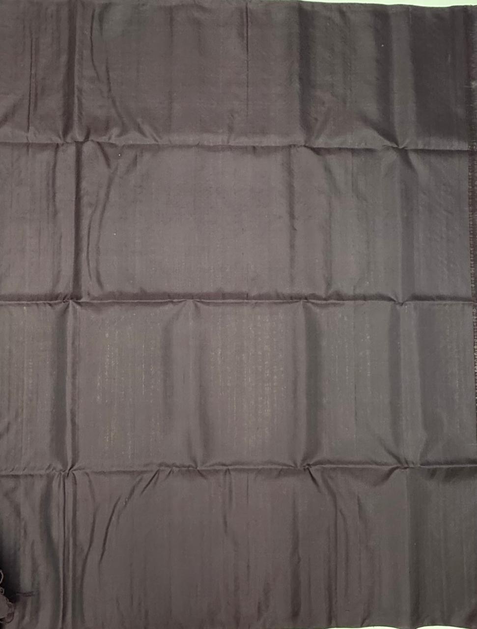 VSA636 - dark purple color body, pallu , blouse pure silk saree