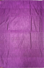 VSAS1239 - pastel green color body , violet color pallu , blouse.