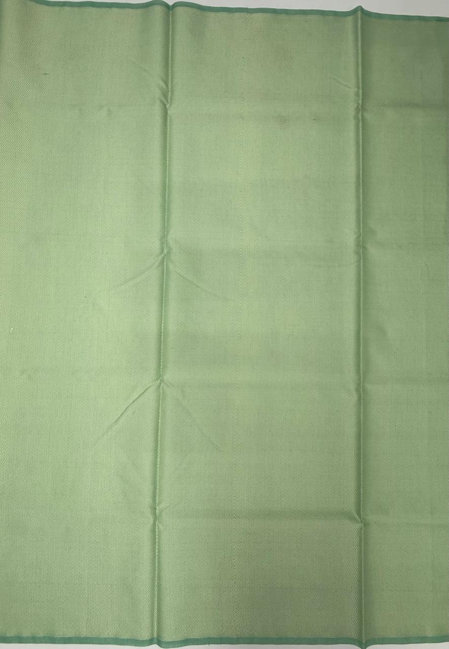VSKC579 - sea green color body, pallu , blouse.