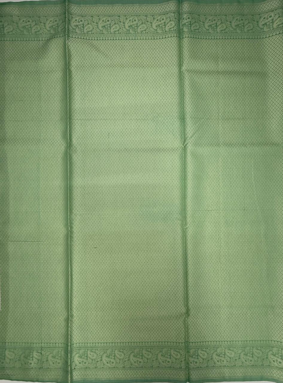 VSKC585 - sea green color body,pallu , blouse.