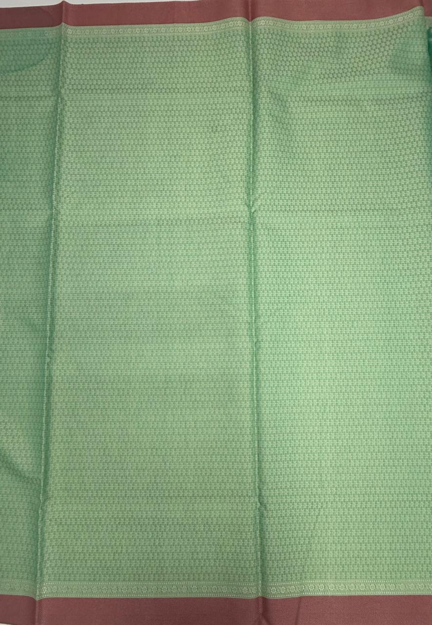 VSKC597 - sea green color body,pallu , blouse.