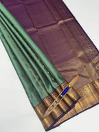 VSM61 - pastel green color body , vioelt color pallu , blouse&nbsp;