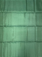 VSM65 - pastel green color body, pallu , blouse&nbsp;