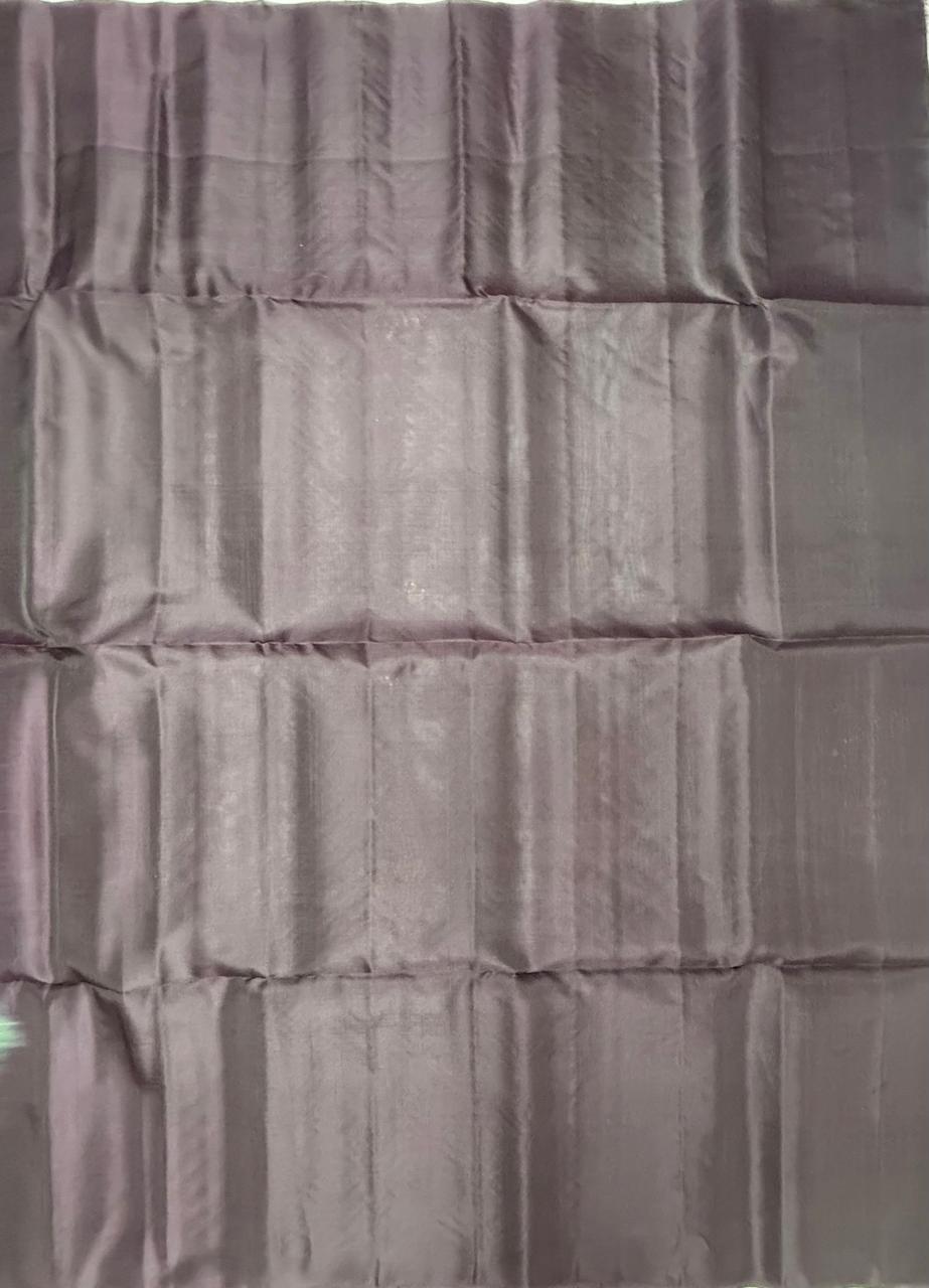 VSM237 - pastel green color body , dark purple color pallu , blouse&nbsp;