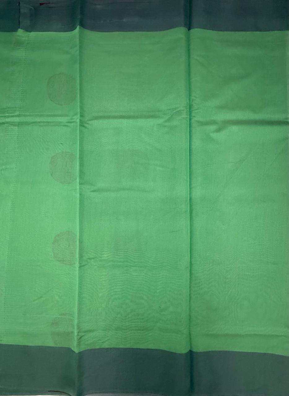 VSKC620 - pastel green color body, pallu , blouse.