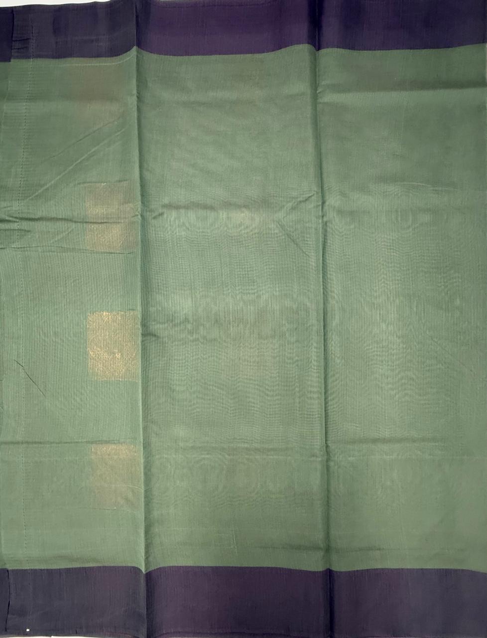 VSKC631 - pastel green color body , pallu , blouse.