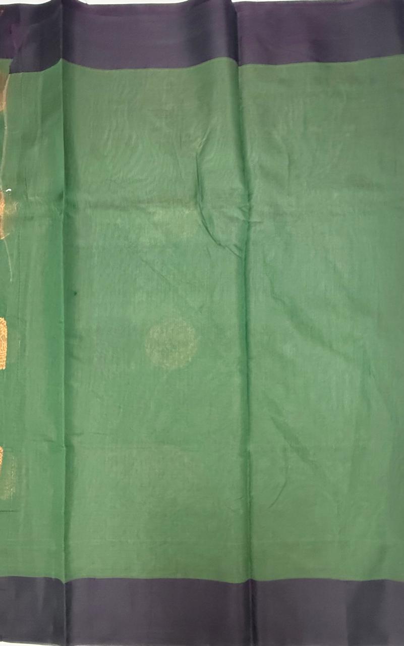 VSKC628 - pastel green color body, pallu , blouse.