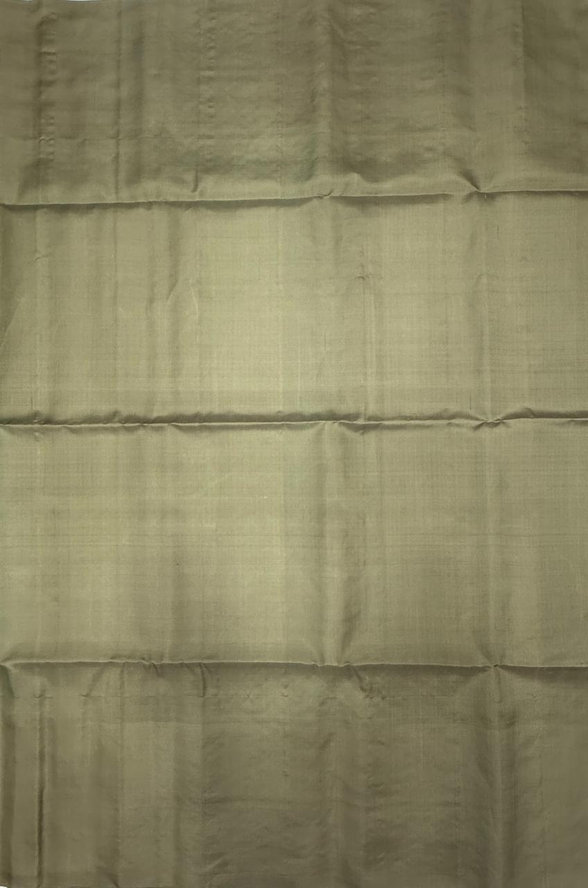 VSF1011 - pastel green color body & beige color pallu,blouse - Pure silk saree