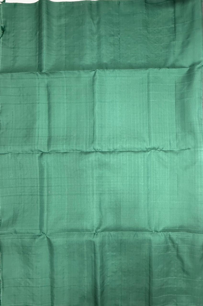 VSF1031 - pastel grey color body &amp; pastel green color pallu,blouse - Pure silk saree