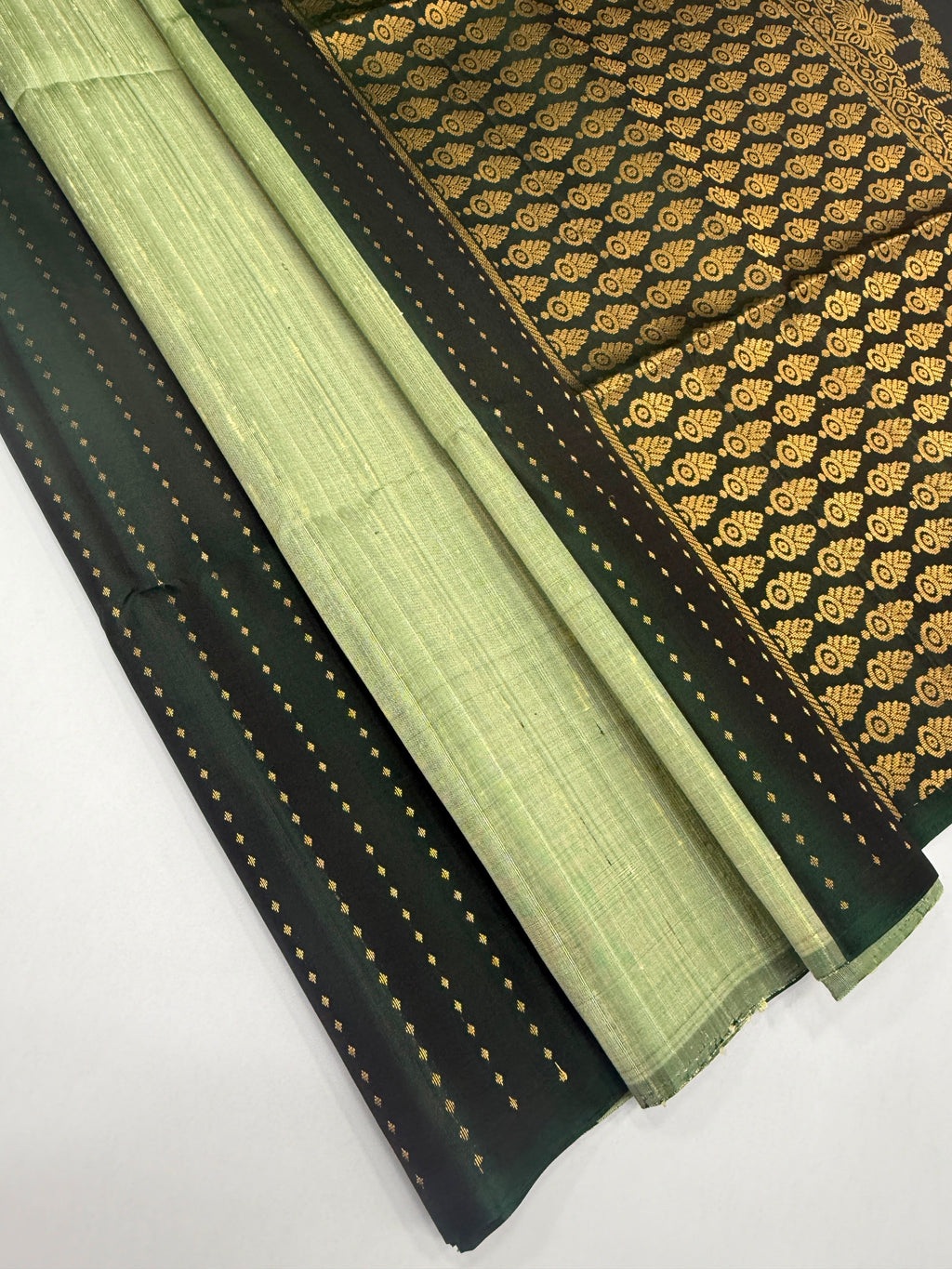 VSD176 - bottle with light green color body , color pallu,blouse - Pure silk saree