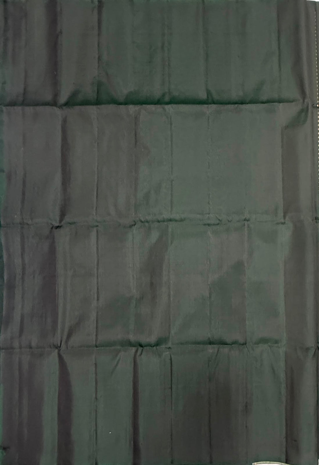 VSD176 - bottle with light green color body , color pallu,blouse - Pure silk saree