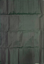 VSD176 - bottle with light green color body , color pallu,blouse - Pure silk saree