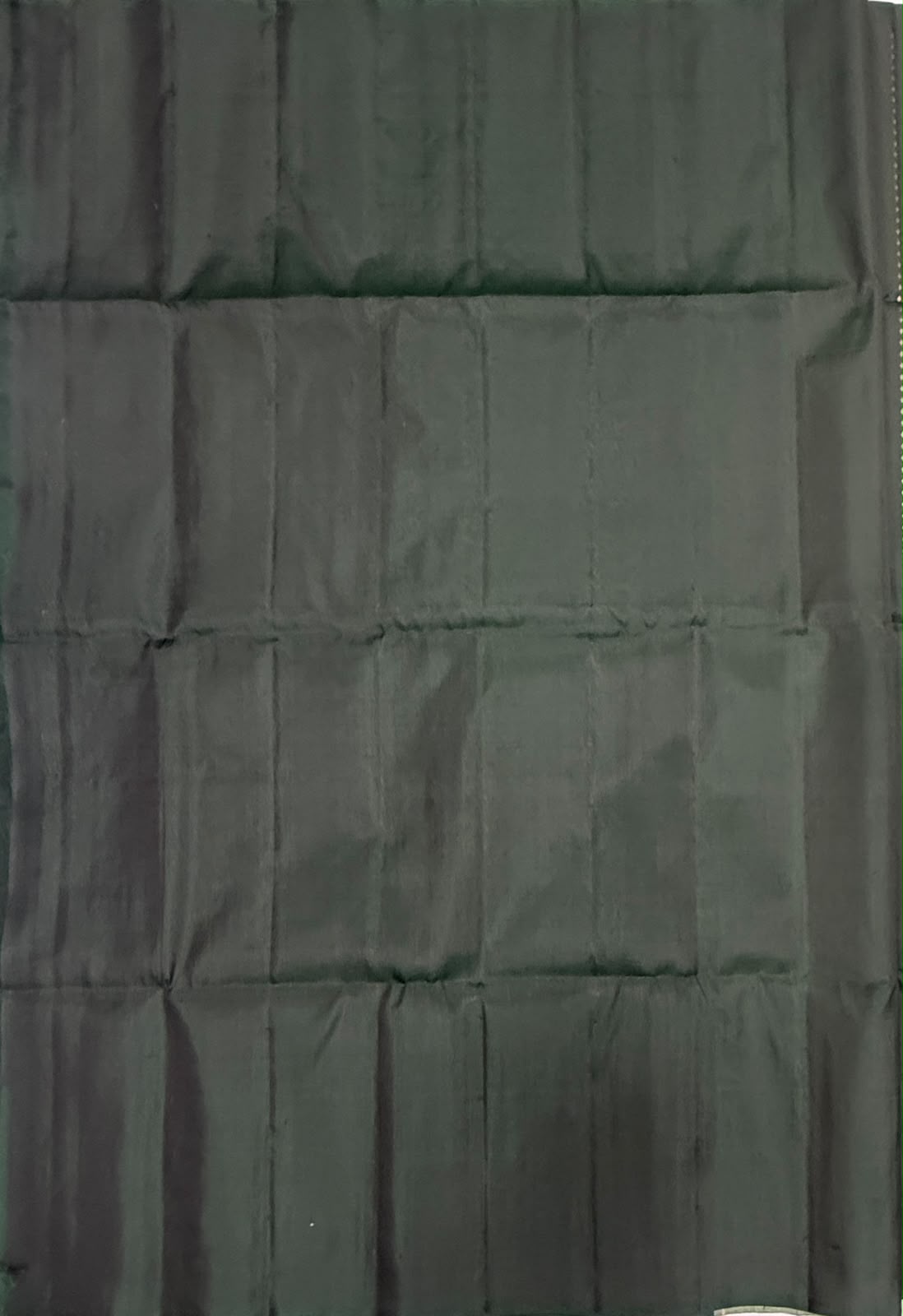 VSD176 - bottle with light green color body , color pallu,blouse - Pure silk saree