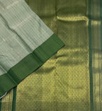 VSOH475 - pastel green color body , green color pallu , blouse - Pure silk saree