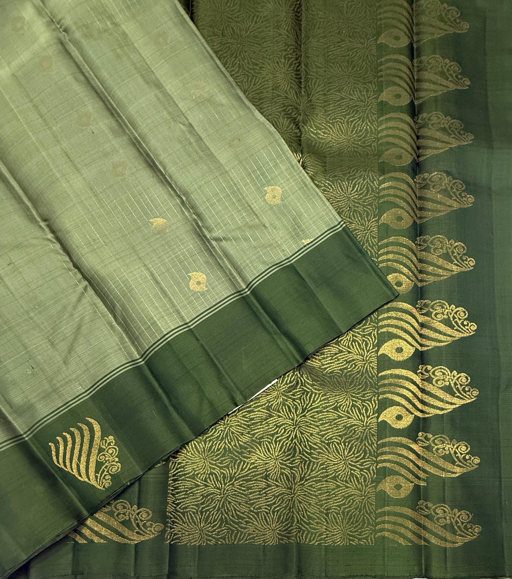 VSF1155 - pastel green color body , green color pallu,blouse - Pure silk saree