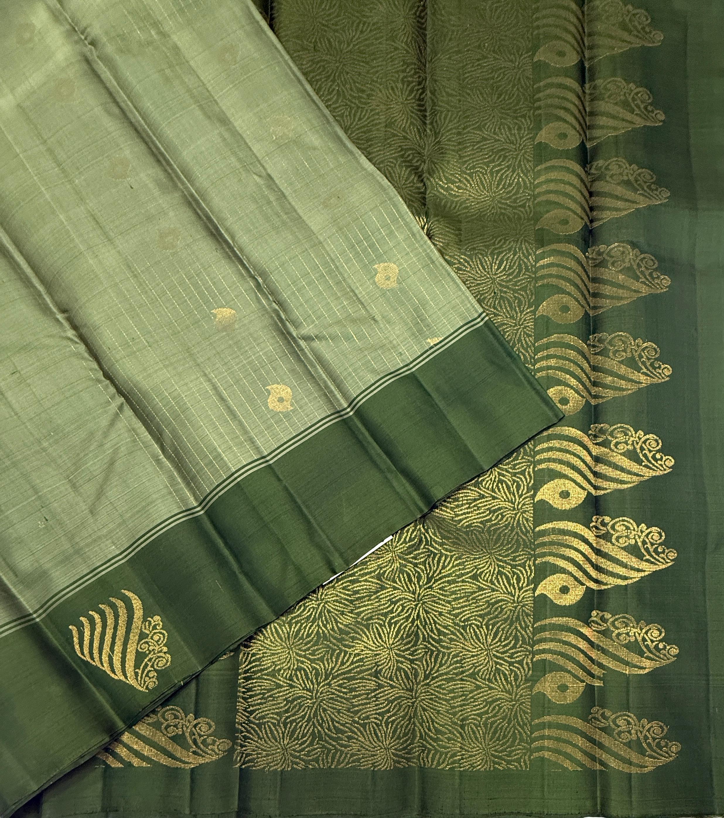 VSF1155 - pastel green color body , green color pallu,blouse - Pure silk saree