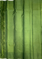 VSF1155 - pastel green color body , green color pallu,blouse - Pure silk saree