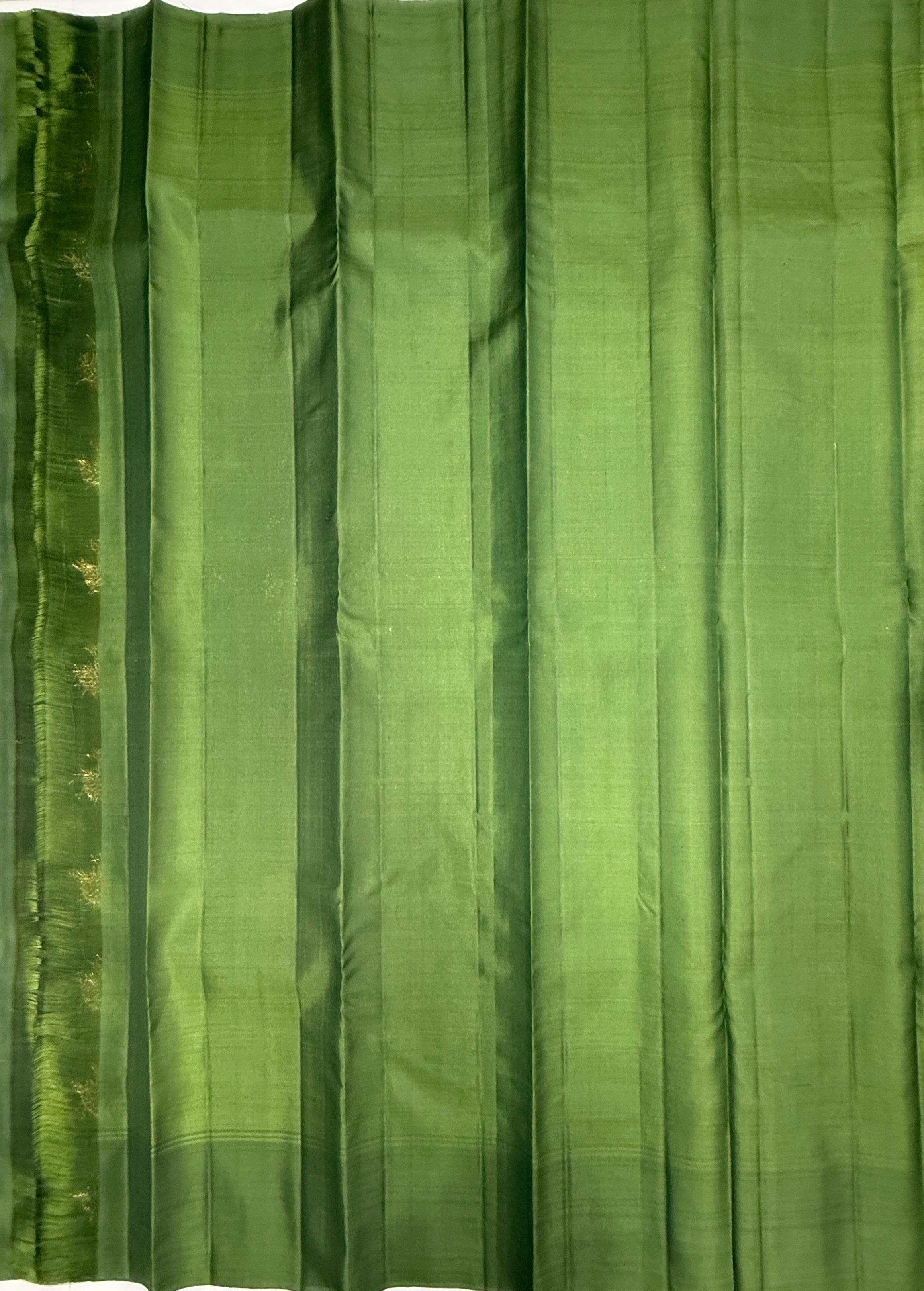 VSF1155 - pastel green color body , green color pallu,blouse - Pure silk saree