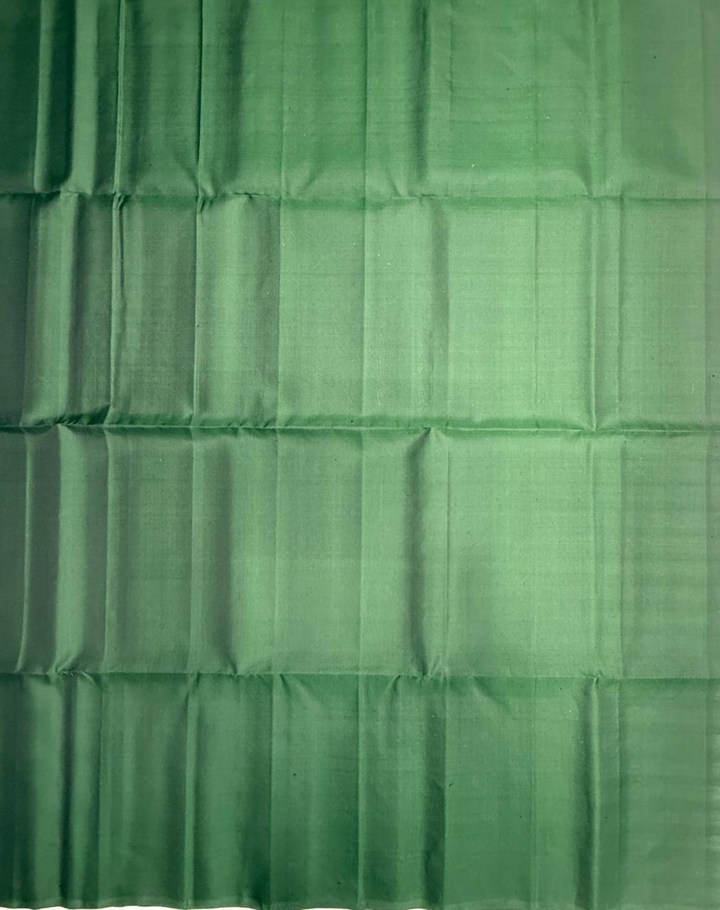 VSBP115 - dark green color body , pallu,blouse - Pure silk saree