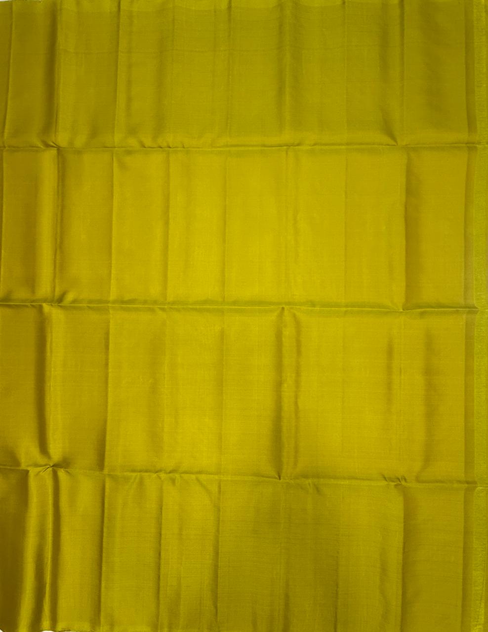 VSM510 - radium green color body , pallu , blouse&nbsp;
