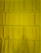 VSM510 - radium green color body , pallu , blouse&nbsp;