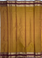 VSAS1487 - honey brown color body, pallu , blouse.