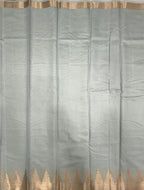 VSAS1540 - silver grey color body, pallu , blouse.