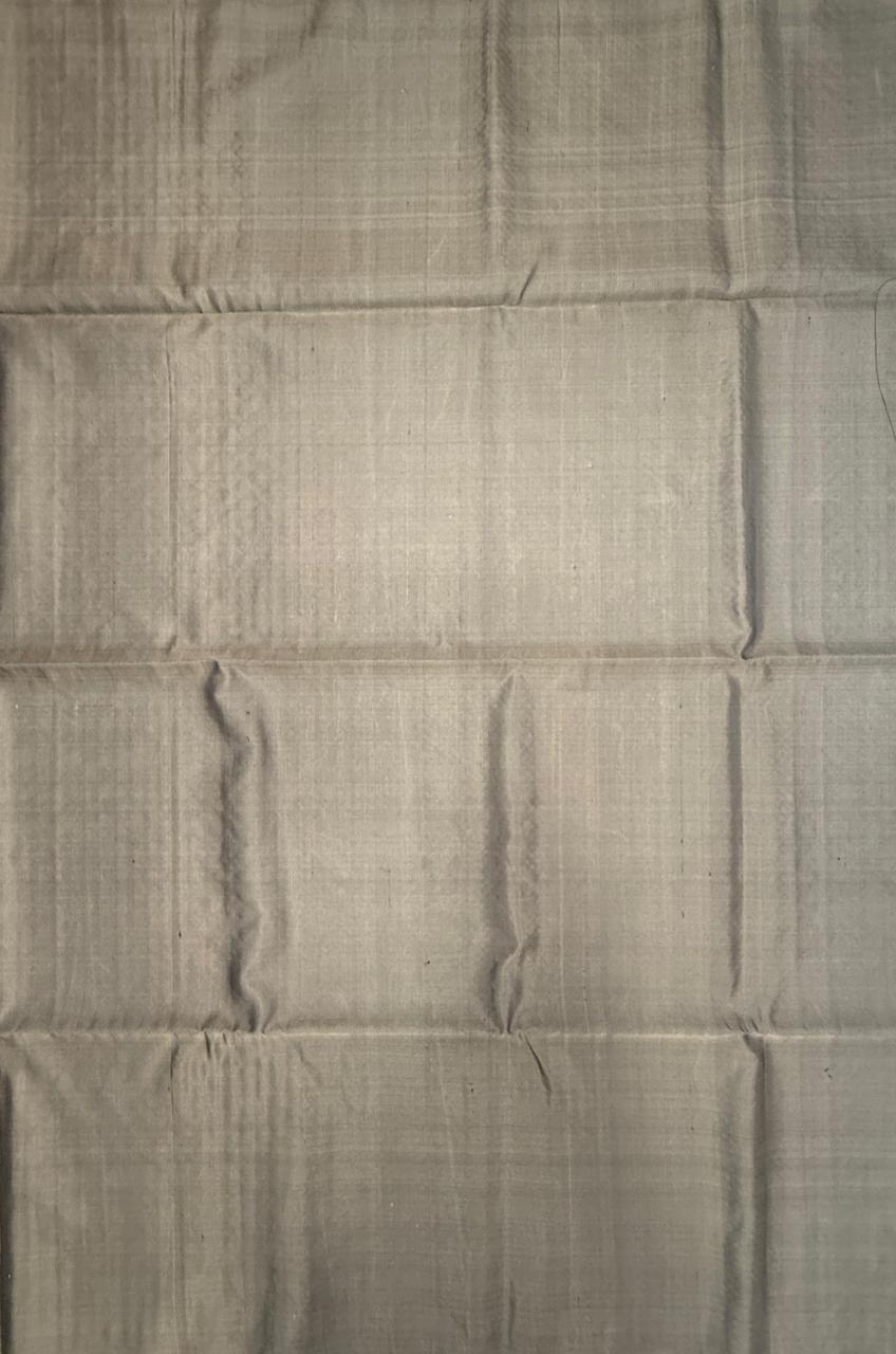 VSA635 - cement grey color body, pallu , blouse pure silk saree