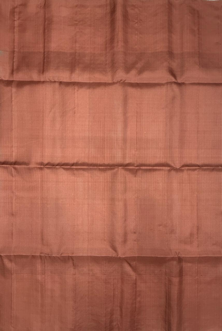 VSF1252 - pastel blue color body , chocolate brown color pallu,blouse - Pure silk saree