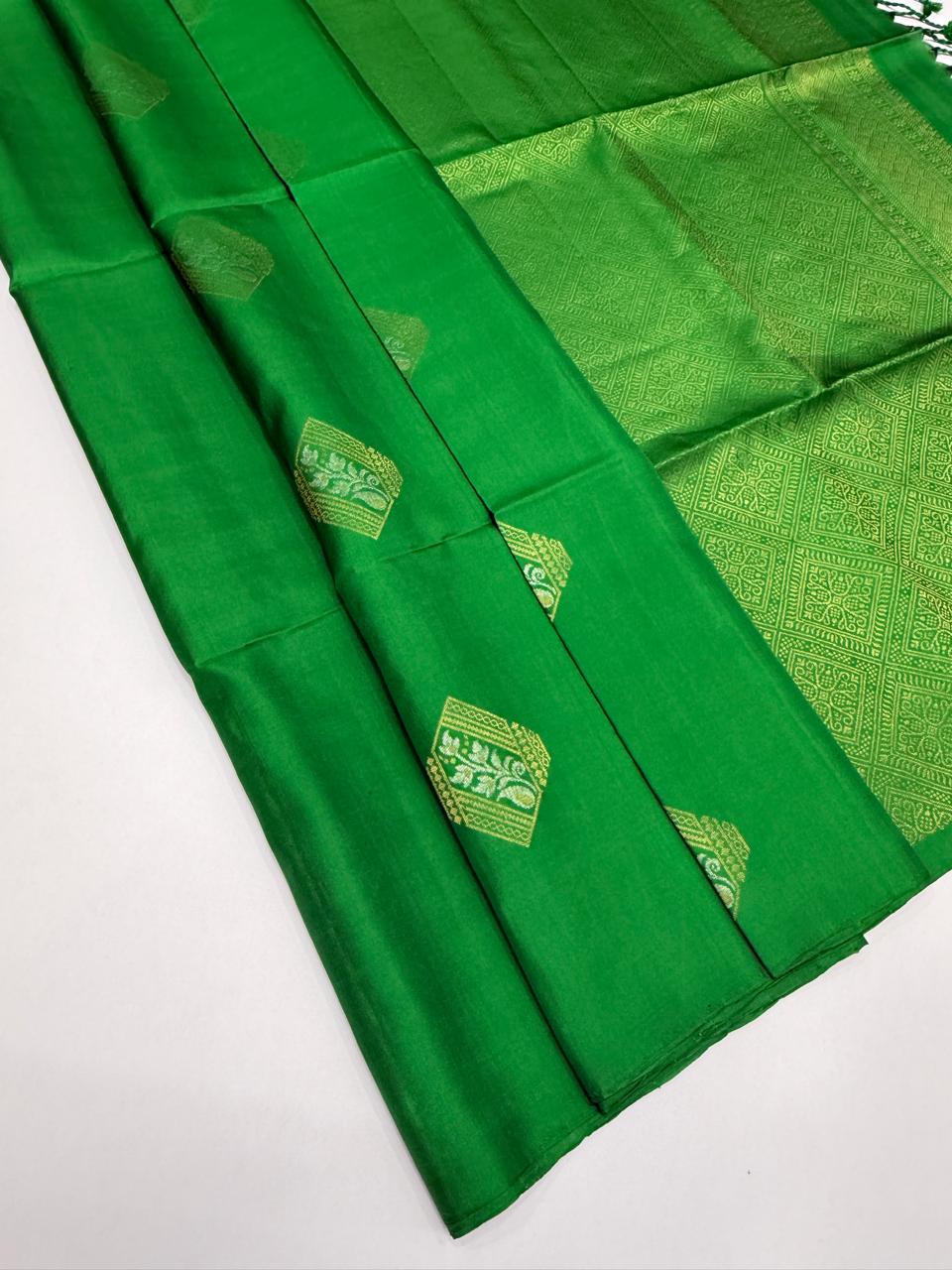 VSS524 - green color body, pallu , blouse pure silk saree